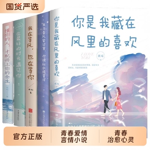 青春爱情言情小说治愈心灵你是我藏在风里的喜欢有幸被爱无畏山海懂你的人才配得上你的余生我与春风皆过客你携秋水揽星河正版时光