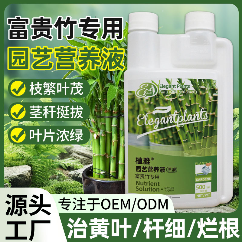 富贵竹专用营养液防黄叶水培绿植
