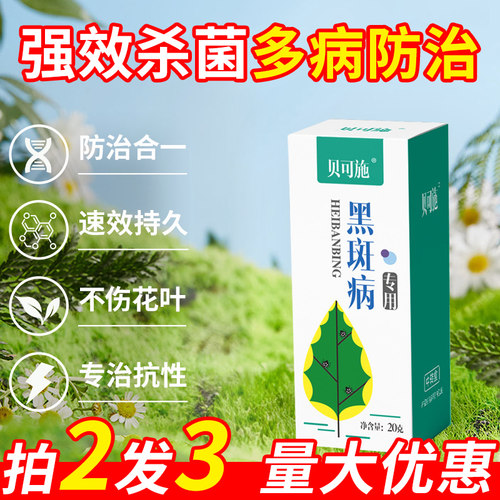 月季黑斑白粉杀菌剂