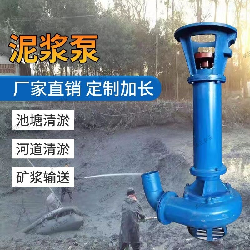 立式排污泵鱼塘抽沙泵清淤泥沙河道耐磨池塘液下矿山大流量抽泥泵