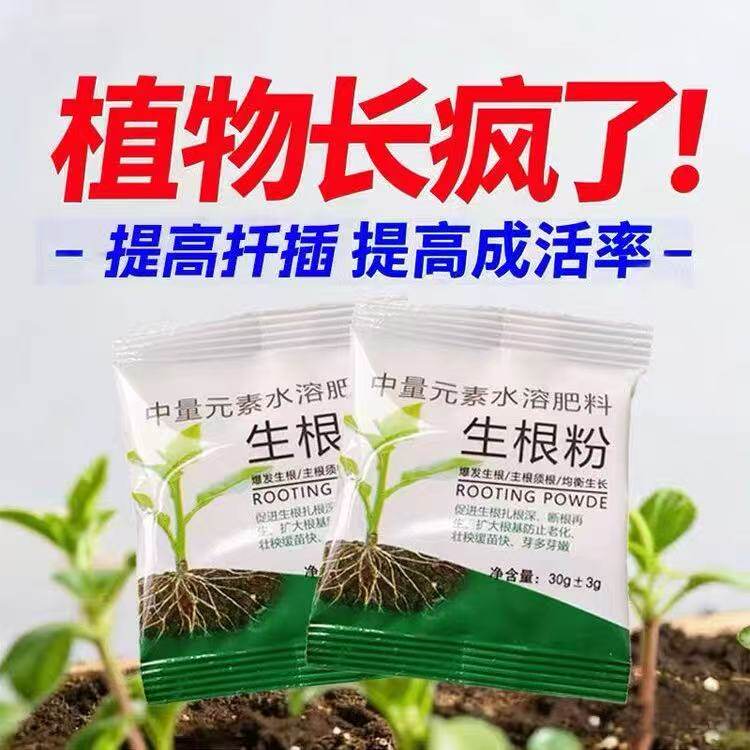 移植定栽生根粉植物生根树木移花栽苗植扦插根生粉剂水溶