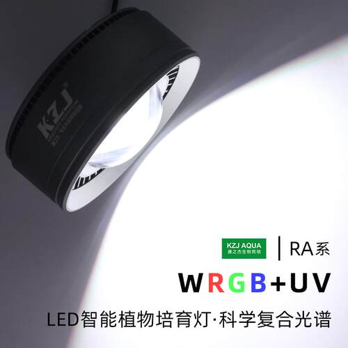 木木与兰寿兰寿泰狮暴藻灯