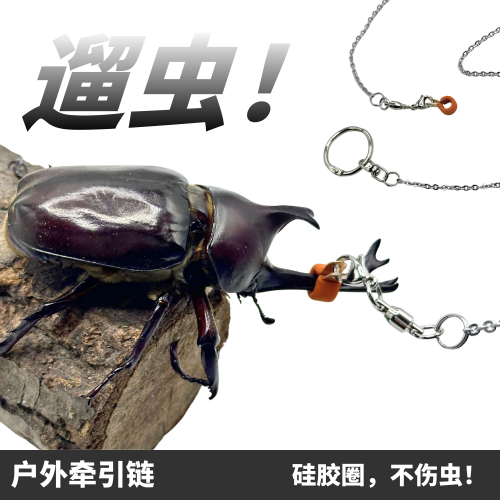 【甲虫牵引链】大兜虫独角仙锹甲牵引绳户外甲壳虫鸣虫硅胶遛虫链,宠物/宠物食品及用品,爬宠清洁及日用品,淘宝优惠券,粉丝福利购,淘宝优惠卷