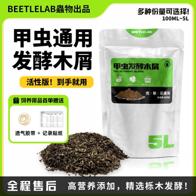 甲虫木屑虫物栎木幼虫甲虫饲料