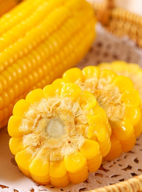 有机五寨黄糯玉米段低脂真空膜非转基因老人营养早餐知己香甜锁鲜