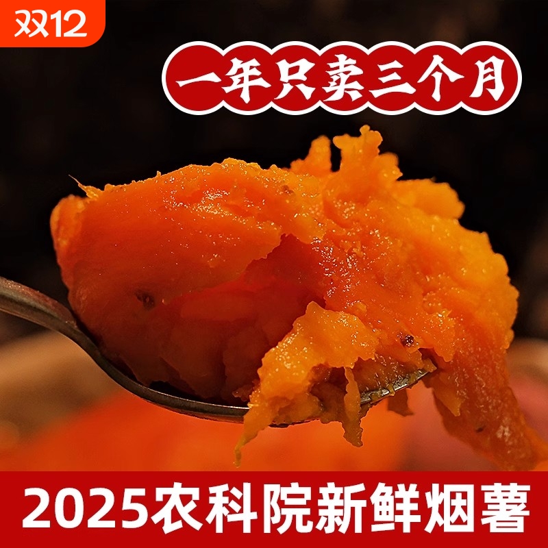 烟台农科院红薯25号应季新鲜番薯现挖沙地地瓜蜜薯烤红薯蒸煮山芋