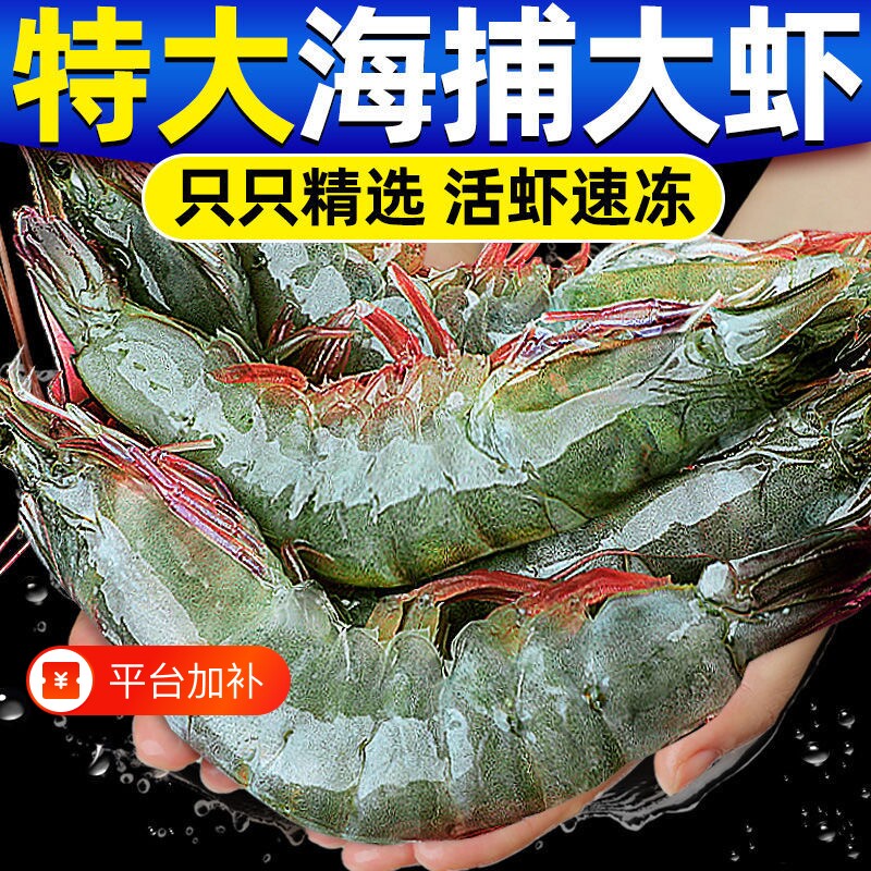 鲜活速冻青岛大虾特大海虾新鲜基围虾海捕冻虾白虾冷冻海鲜水产