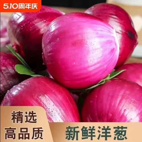 正宗紫皮洋葱蔬菜新鲜当季辛辣可口生吃甜圆葱洋葱头农家整箱包邮
