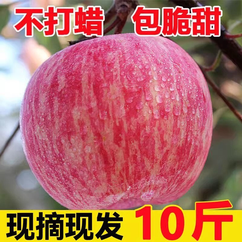 陕西高山红富士丑苹果水果新鲜整箱冰糖心当季甜脆整箱10包邮斤