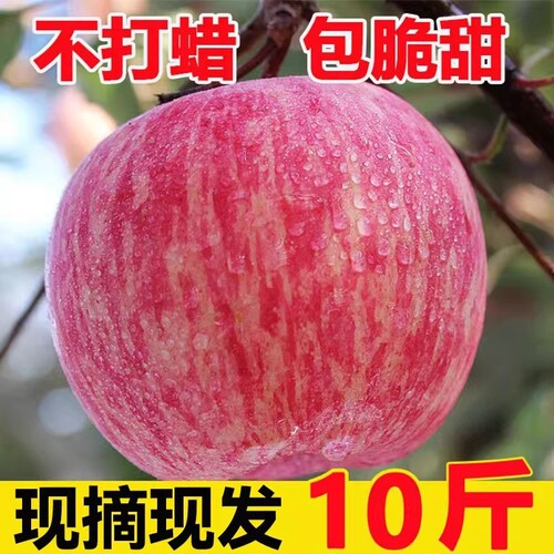陕西高山红富士丑苹果水果新鲜整箱冰糖心当季甜脆整箱10包邮斤