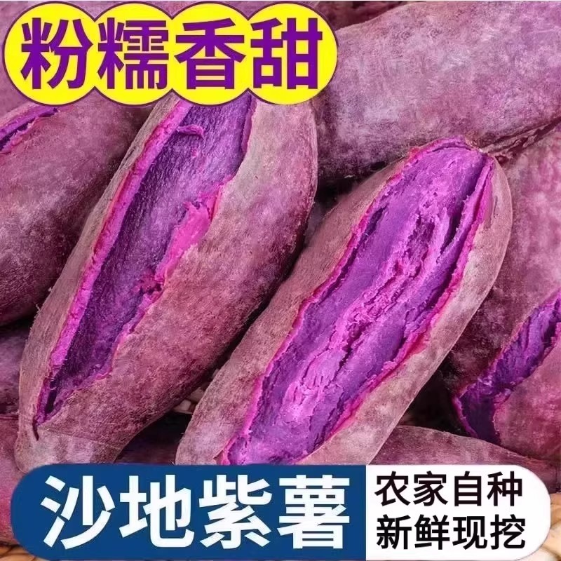 紫薯新鲜板栗红薯番薯地瓜蜜薯糖心山芋蔬菜农家自种紫心沙地