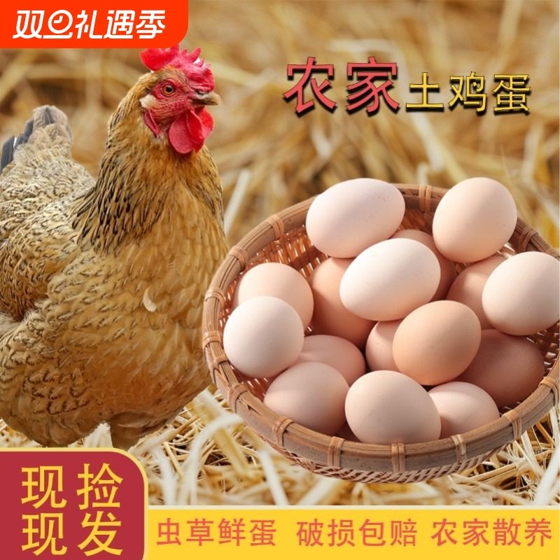 农场直发农家散养土鸡蛋30枚50枚新鲜现捡现发正宗无激素喂养