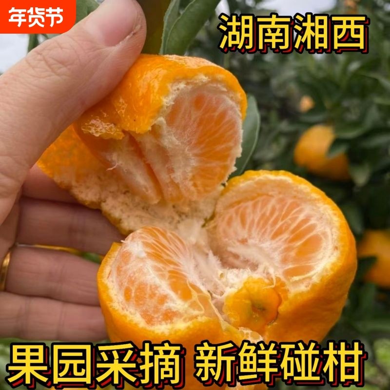 湘西碰柑新鲜甜柑橘大橘子芦柑当季孕妇儿童水果整箱批发果园采摘,水产肉类/新鲜蔬果/熟食,桔子,淘宝优惠券,粉丝福利购,淘宝优惠卷