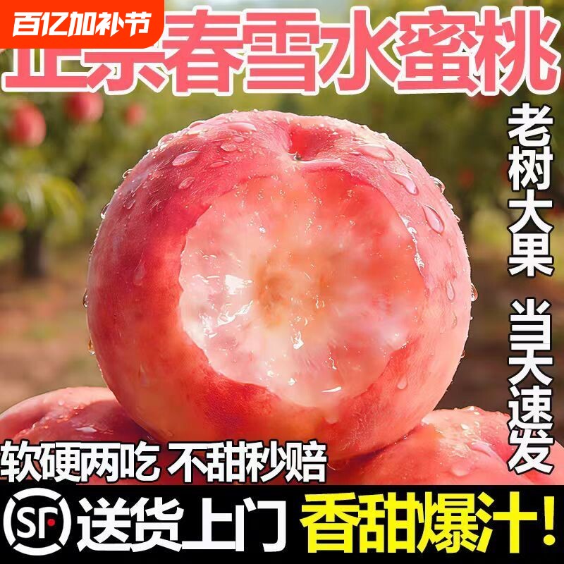 桃子正宗春雪水蜜桃新鲜采摘硬脆软甜果肉果香浓郁产地直发现摘