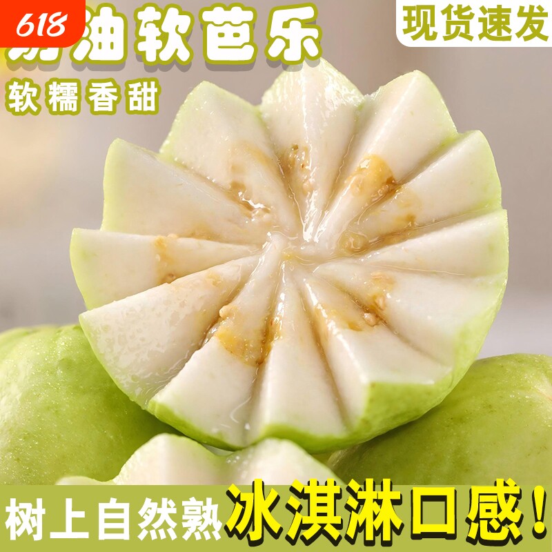白心芭乐水果新鲜包邮奶油番石榴软糯脆甜树上熟整箱当季现货红心