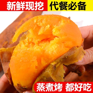 新鲜龙九薯蜜红薯中果9斤