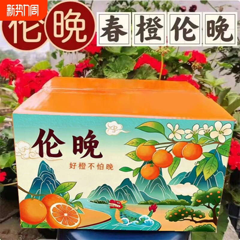 秭归正宗伦晚脐橙甜橙湖北当季橙子新鲜榨汁水果包邮整箱产地直发