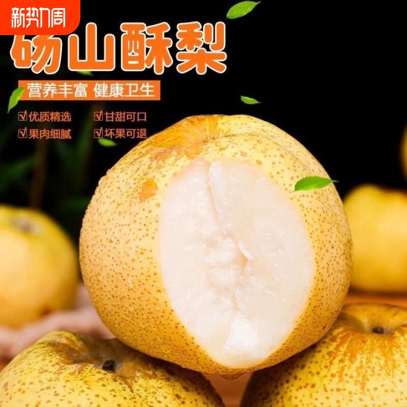 正宗安徽砀山酥梨梨整箱新鲜梨子水果脆甜多汁当季白梨子5斤10