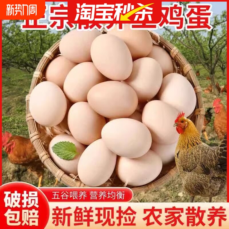 筱诺新鲜农村土鸡蛋40g/枚农家散养自养天然柴鸡蛋笨鸡蛋草鸡蛋