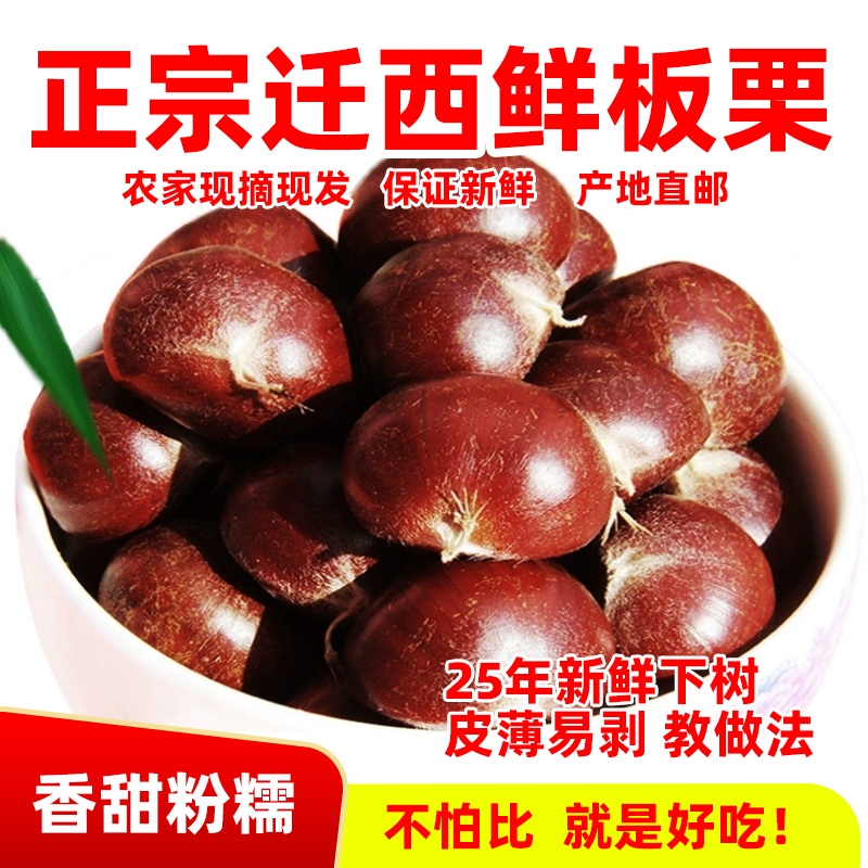 2025年正宗河北唐山迁西板栗生新鲜栗子3113燕山油栗子产