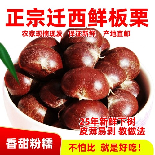 2025年正宗河北唐山迁西板栗生新鲜栗子3113燕山油栗子产