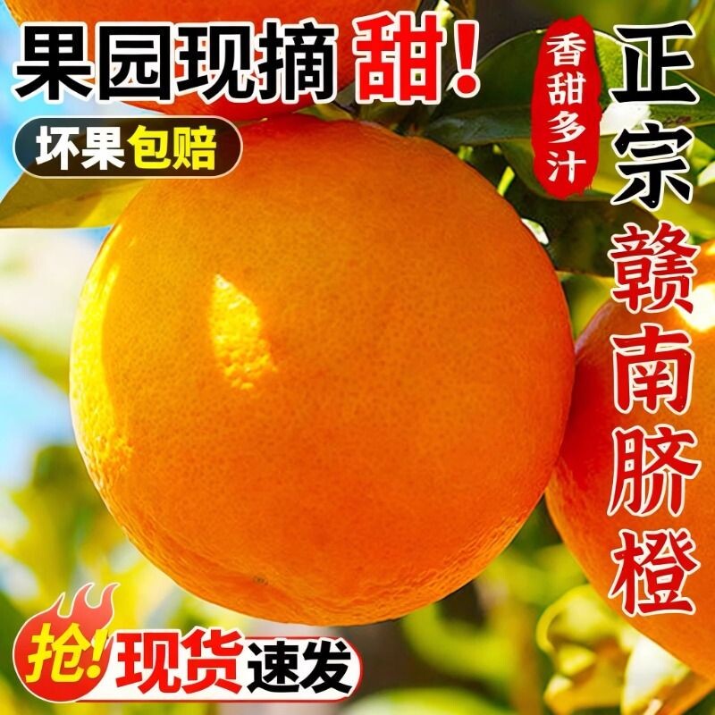 【平晏果园】江西赣南脐橙大果整箱当季新鲜水果现摘寻乌甜脐橙子