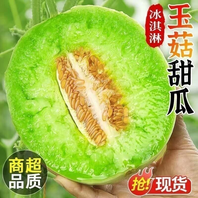 正宗山东玉菇甜瓜新鲜瓜冰激凌奶香糯蜜瓜应季水果冰淇淋白甜瓜