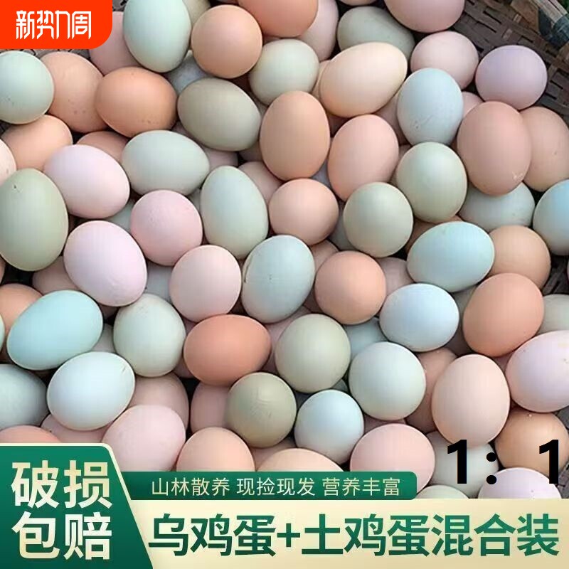 混合装农家山林散养正宗新鲜现捡绿壳土鸡蛋虫草蛋柴鸡蛋乌鸡蛋