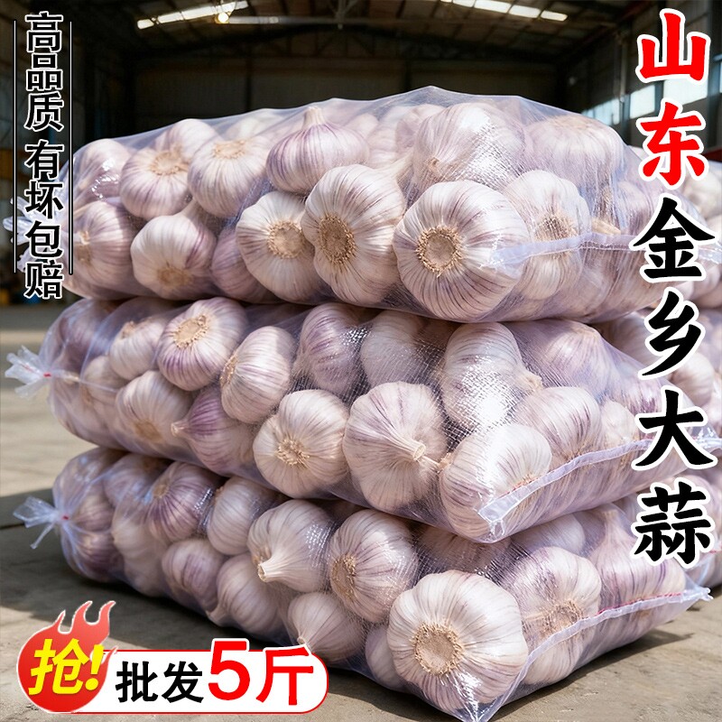大蒜头2026金乡大蒜新干当季鲜蔬菜批发紫皮特大果干蒜农家自种