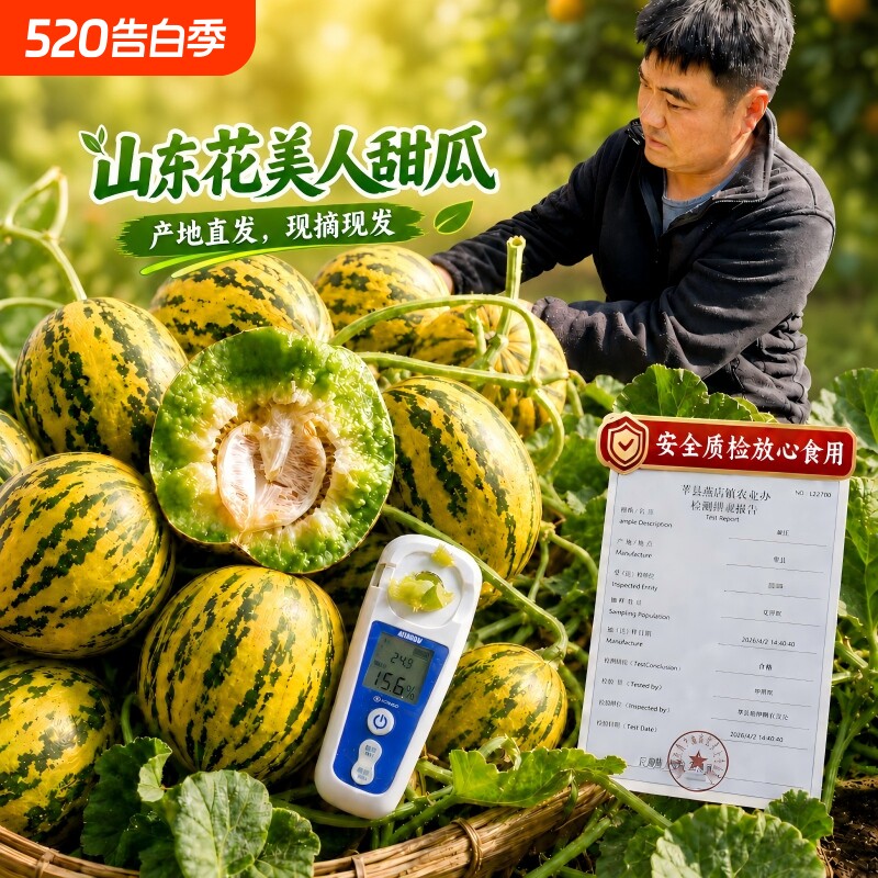 山东甜瓜香瓜应季花美人水果脆甜多汁小蜜蜂冰糖脆瓜新鲜水果包邮