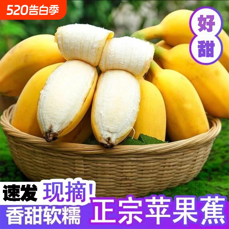 正宗广西苹果蕉大果产地直发现摘现发当季时令新鲜水果粉蕉香蕉