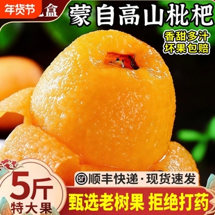 顺丰 云南蒙自枇杷5斤礼盒装新鲜水果当季现摘琵琶枇杷树上熟整箱