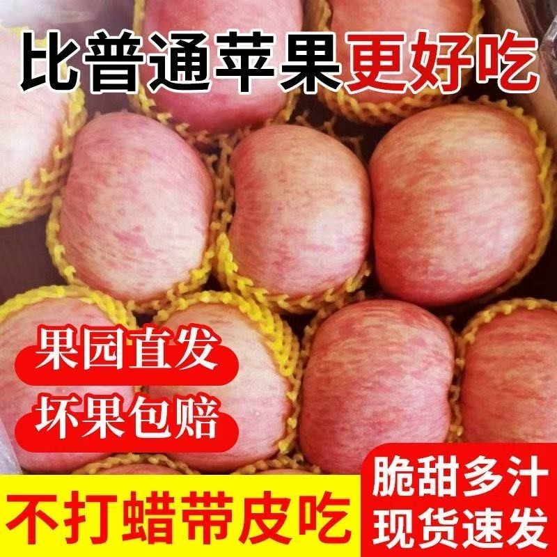 头茬现摘正宗山西红富士苹果冰糖心丑苹果当季新鲜水果批发价多汁,水产肉类/新鲜蔬果/熟食,苹果,淘宝优惠券,粉丝福利购,淘宝优惠卷