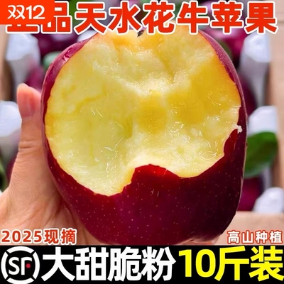 顺丰10斤甘肃天水花牛苹果新鲜水果令粉面沙甜宝宝老人辅食刮泥