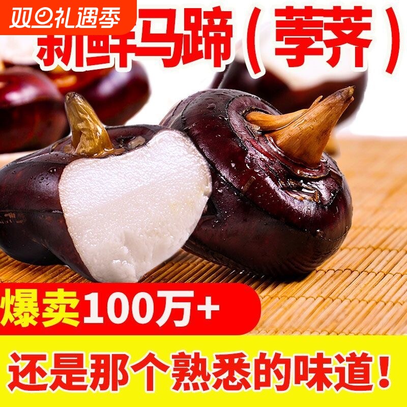 广西特产新鲜爆汁正宗马蹄