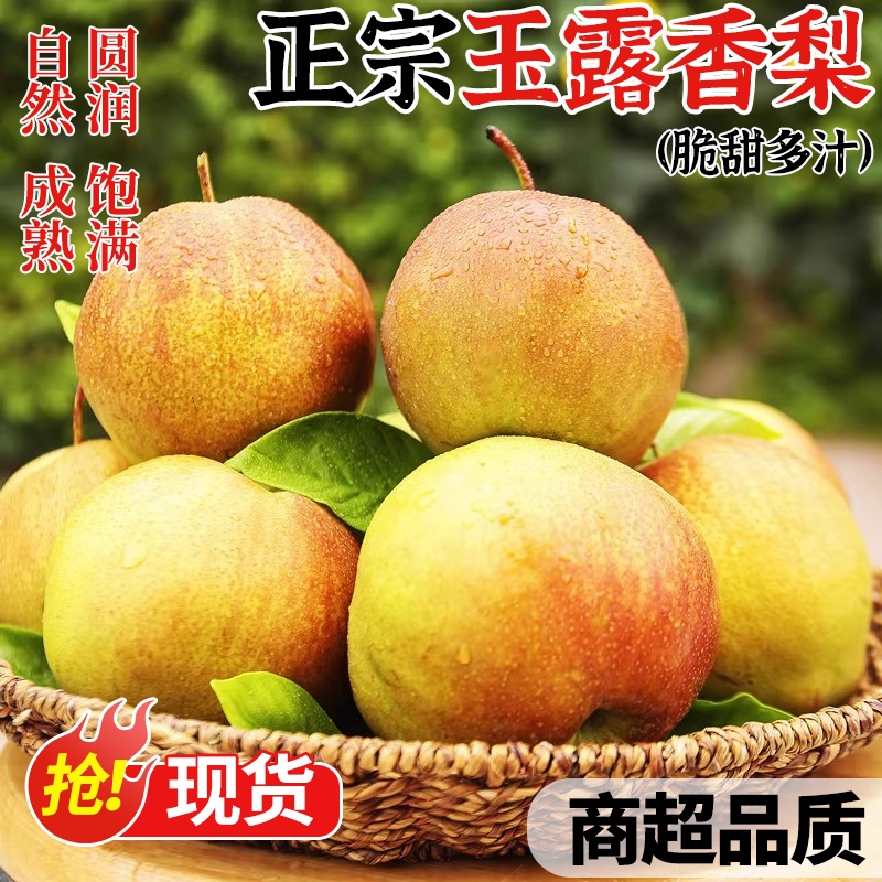 正宗山西玉露香梨5/10斤梨子新鲜水果皮薄香甜当季整箱香酥梨雪梨