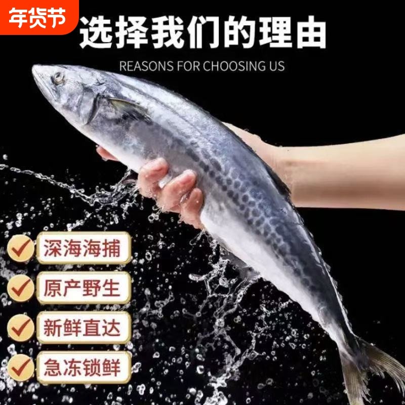 大鲅鱼新鲜活鲐鲅鱼马鲛鱼大整条冷冻青花鱼马友鱼海鲜马交鱼批发,水产肉类/新鲜蔬果/熟食,马鲛鱼,淘宝优惠券,粉丝福利购,淘宝优惠卷