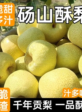 产地直发冰糖酥梨皮薄多汁核小肉质细腻无渣清甜家庭分享装脆甜