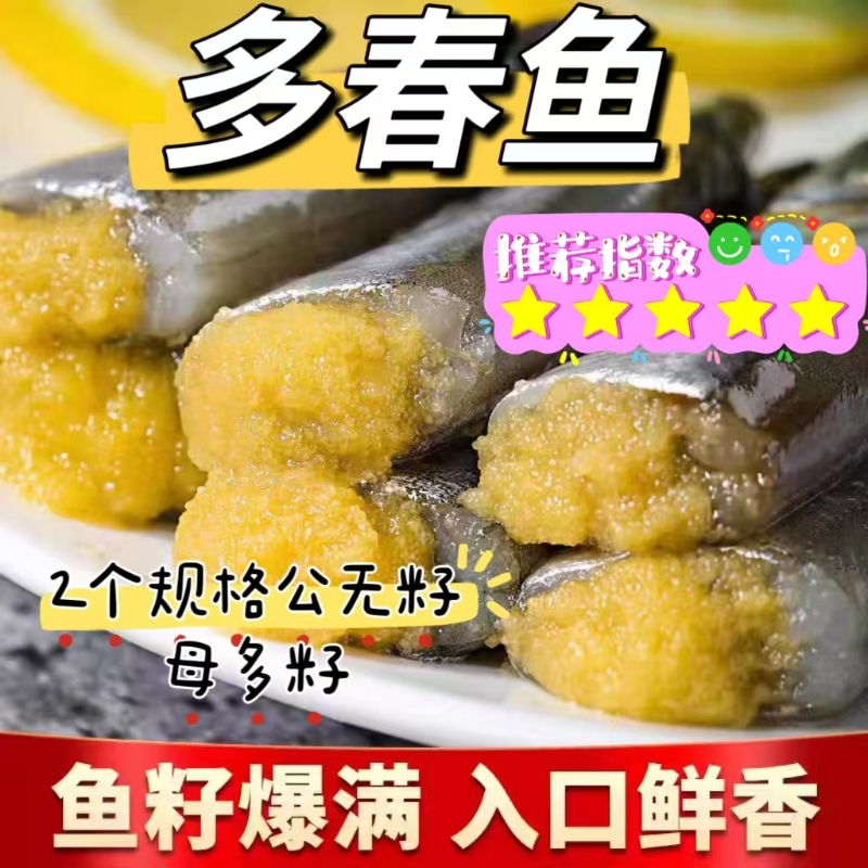 多春鱼满籽新鲜人吃籽鱼
