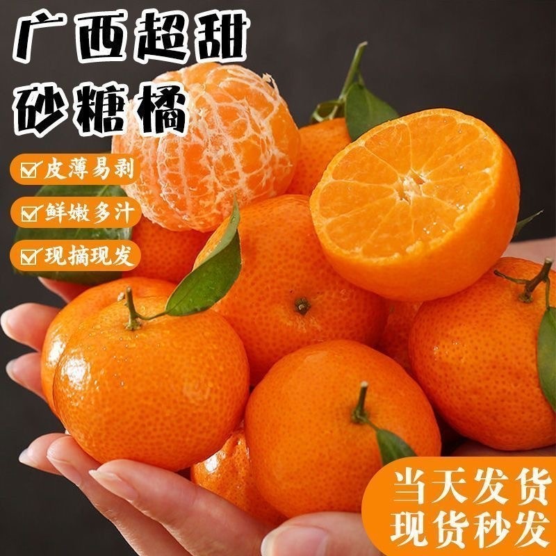 广西砂糖橘无籽沙糖桔优选大果超甜薄皮桔子新鲜水果直供一整箱,水产肉类/新鲜蔬果/熟食,桔子,淘宝优惠券,粉丝福利购,淘宝优惠卷