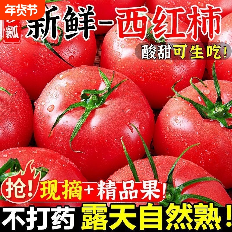 沙瓤番茄正宗商超品质沙瓤西红柿小果自然熟生吃蔬菜水果番茄,水产肉类/新鲜蔬果/熟食,番茄,淘宝优惠券,粉丝福利购,淘宝优惠卷