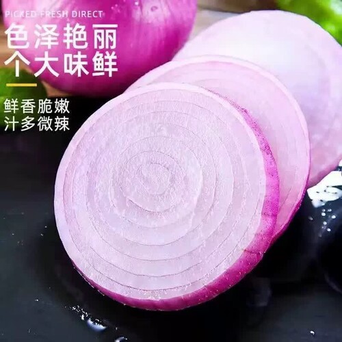 河南紫皮洋葱新鲜水果生吃甜圆葱洋葱头当季农家蔬菜生吃圆葱