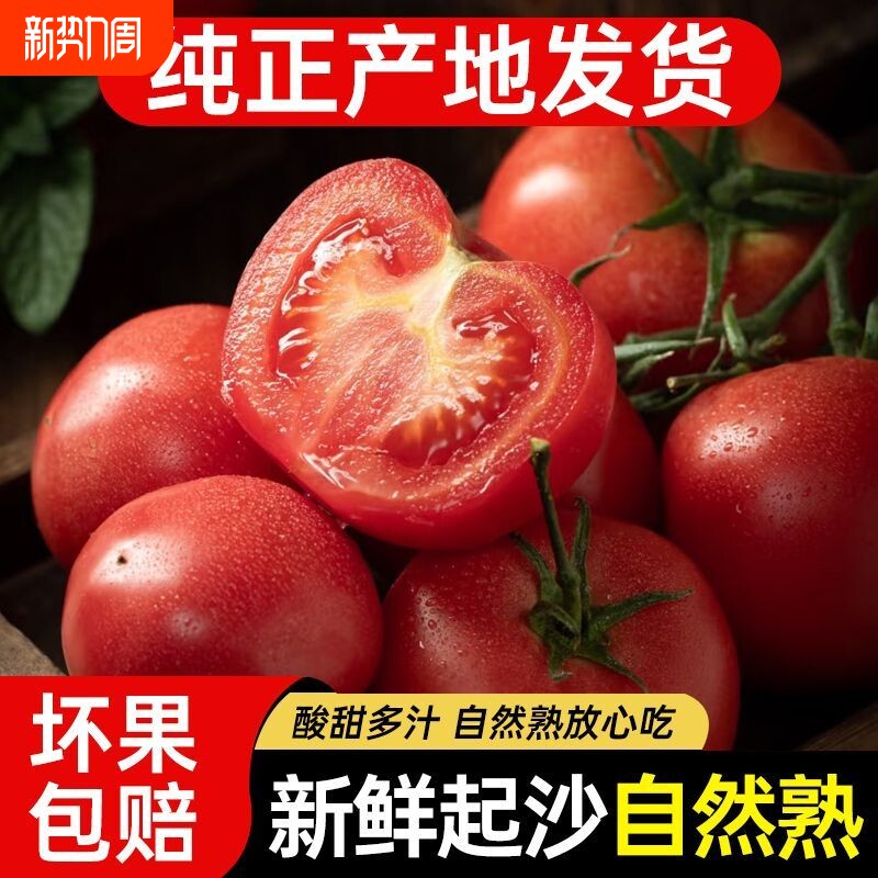 当季西红柿沙瓤番茄应季菜生吃西红柿炒菜凉拌减脂期番茄多汁沙瓤