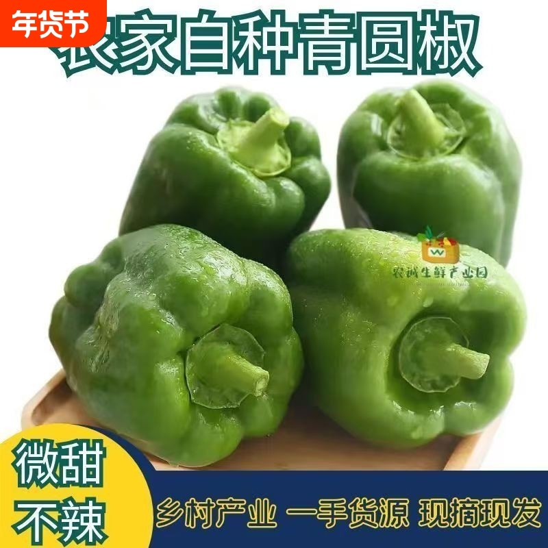 山东青圆椒太空椒甜椒大辣椒蘸酱五彩椒新鲜蔬菜包邮青椒鲜辣椒,水产肉类/新鲜蔬果/熟食,辣椒,淘宝优惠券,粉丝福利购,淘宝优惠卷