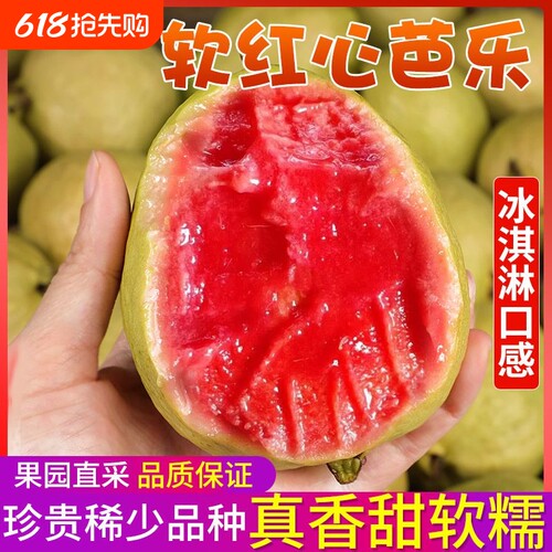 红心软心芭乐香甜番石榴当季鸡屎果批发红白心应季孕妇水果新鲜
