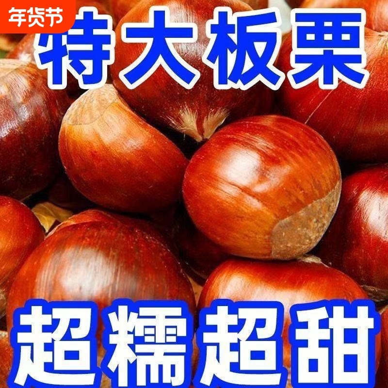 辽宁农家新鲜生现摘丹东板栗栗子锥油栗仁蔬罗田大板栗鲜板栗双11