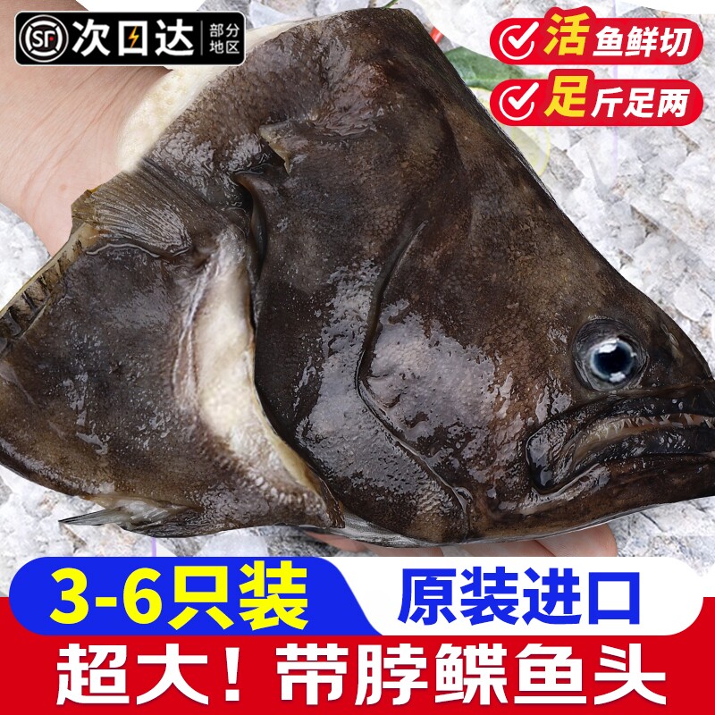 鸦片鱼头鲽鱼新鲜冷冻碟鱼头特大深海雅片鱼头蝶鱼比目鱼海鲜商用