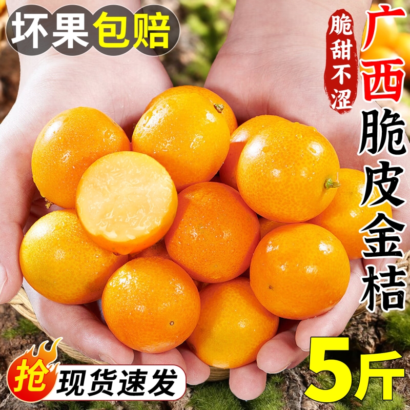 广西脆皮金桔5斤新鲜橘子水果当季纯甜蜜小金柑孕妇融安包邮整箱