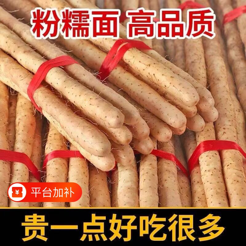 正宗河南焦作温县垆土铁棍山药新鲜现挖粉糯怀淮山生铁杆包邮怀山