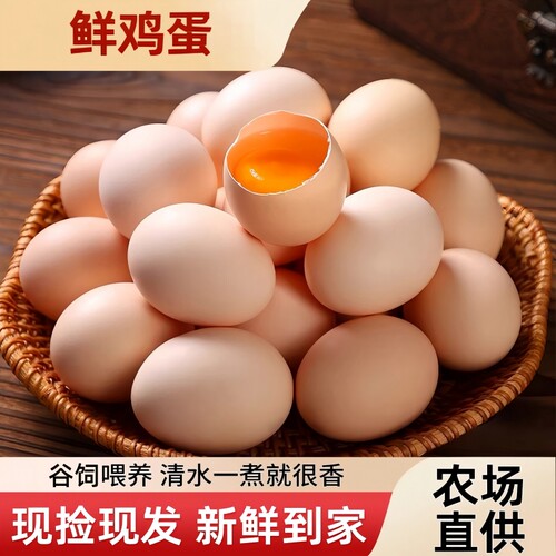 谷饲喂养鸡蛋农场直发鲜鸡蛋农家草鸡蛋笨鸡蛋整箱新鲜谷物
